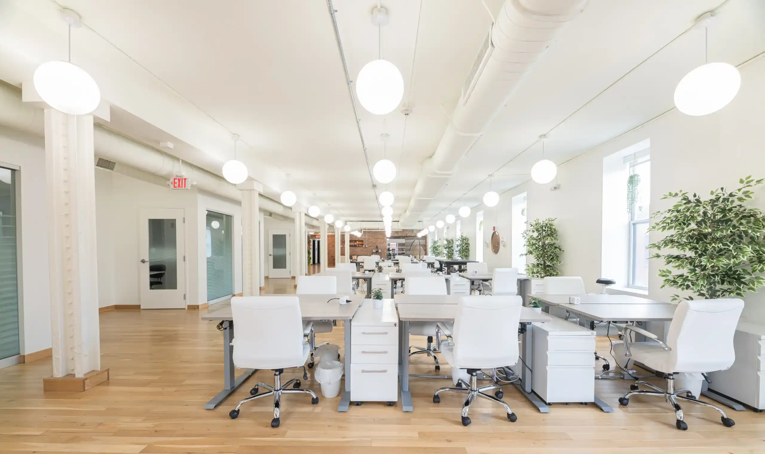Bright modern open-plan office with white desks and chairs, hanging globe lights, wooden flooring, and indoor plants.